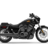 HARLEY-DAVIDSON – NIGHTSTER – Desde 136€*